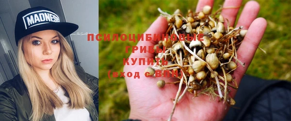 mdpv Алзамай