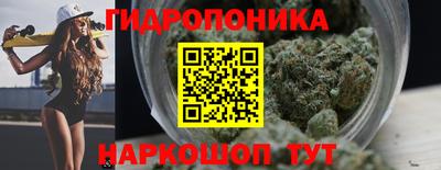 соль ск Тара