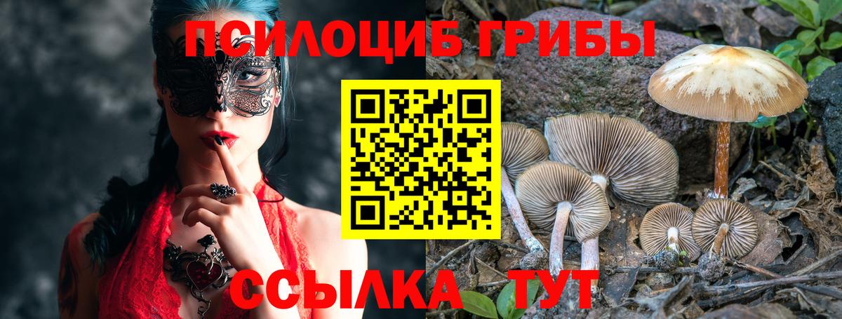 Кореновск  Псилоцибиновые грибы GOLDEN TEACHER  закладка  Вход с VPN  Галлюциногенные грибы Psilocybine cubensis 